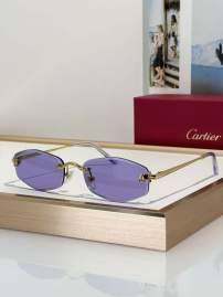 Picture of Cartier Sunglasses _SKUfw79279952fw